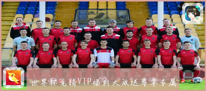 世界杯竞猜VIP福利大放送尊享专属特权尽享丰厚奖励